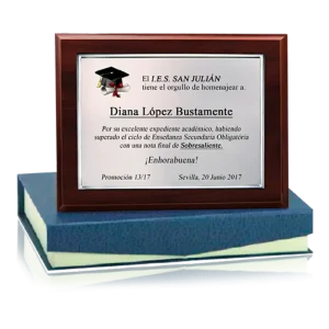 PLACA DE HOMENAJE PLATON 23 cm
